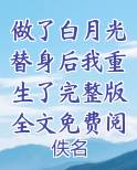 做了白月光替身后我重生了完整版全文免费阅读在线阅读无弹窗