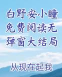 白野安小瞳免费阅读无弹窗大结局