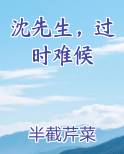 沈先生，过时难候