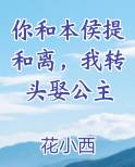 你和本侯提和离，我转头娶公主小说全集