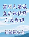 穿到大清做皇后钮祜禄尔岚胤禛