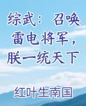 综武：召唤雷电将军，朕一统天下最新