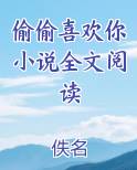 偷偷喜欢你小说全文阅读
