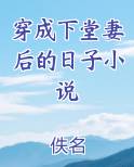 穿成下堂妻后的日子小说