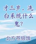 才三岁，洗白系统什么鬼？最新