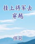 挂上将军去穿越