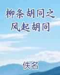 柳条胡同之风起胡同