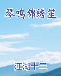 琴鸣锦绣笙