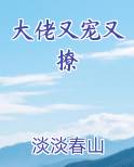 大佬又宠又撩