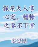 探花大人掌心宠，糟糠之妻不下堂免费下载