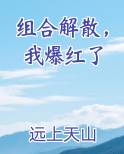 组合解散，我爆红了