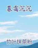 暮霭沉沉小说全集