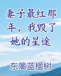 妻子最红那年，我毁了她的星途
