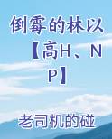 倒霉的林以【高H、NP】