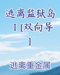 逃离监狱岛Ⅰ[双向导]