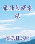 最佳良婿秦浩