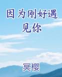 因为刚好遇见你