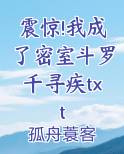震惊!我成了密室斗罗千寻疾txt
